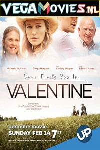 Love Finds You in Valentine 2016 Dual Audio Hindi-English 480p 720p