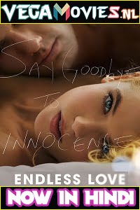 Endless Love 2014 Dual Audio Hindi-English 480p 720p 1080p