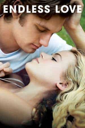 Endless Love 2014 Dual Audio Hindi-English BluRay 480p 720p 1080p
