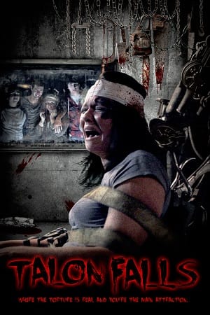 Talon Falls 2017 Dual Audio Hindi-English 480p 720p 1080p