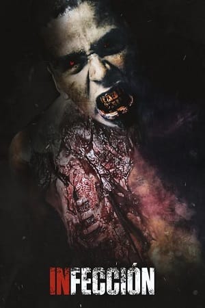 Infection 2019 BluRay Hindi Dubbed Full Movie 480p 720p 1080p
