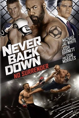 Never Back Down No Surrender 2016 BluRay Dual Audio Hindi-English 480p 720p 1080p