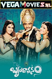 The Super Khiladi - Brindavanam 2010 Hindi Dubbed Full Movie 480p 720p 1080p