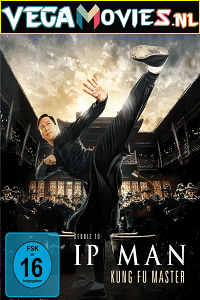 Ip Man Kung Fu Master 2019 BluRay Hindi Dubbed ORG Full Movie 480p 720p 1080p