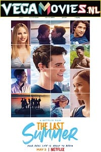 The Last Summer 2019 Dual Audio Hindi-English 480p 720p