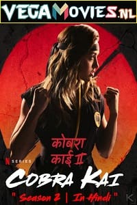 Cobra Kai 2019 Season 2 Dual Audio Hindi-English 480p 720p WEB-DL