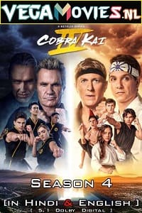 Cobra Kai 2021 Season 4 Dual Audio Hindi-English 480p 720p WEB-DL
