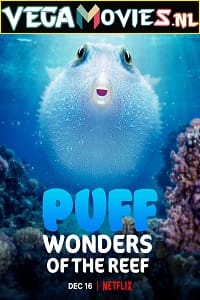 Puff Wonders of the Reef 2021 Dual Audio Hindi-English 720p HEVC HDRip
