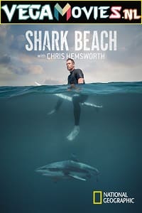 Shark Beach with Chris Hemsworth 2021 Dual Audio Hindi-English 720p HEVC HDRip
