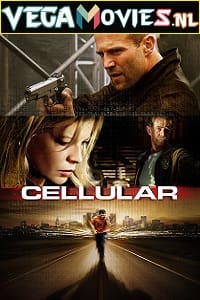 Cellular 2004 Dual Audio Hindi-English 480p 720p 1080p