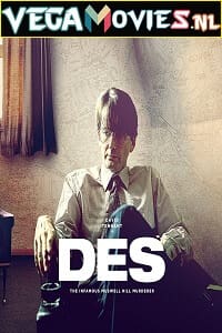 Des 2020 Season 1 Dual Audio Hindi-English 480p 720p HDRip