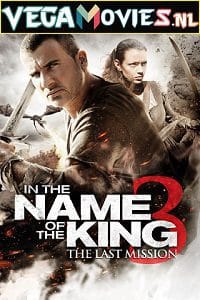 In The Name of the King 3 The Last Mission 2014 Dual Audio Hindi-English 480p 720p