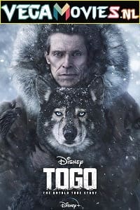 Togo 2019 Full Movie English with Subtitles WEB-DL 480p 720p 1080p