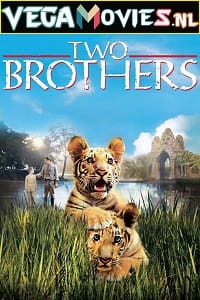 Two Brothers 2004 Dual Audio Hindi-English WeB-DL 480p 720p