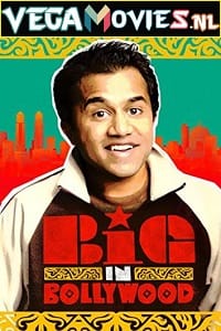 Big in Bollywood 2011 English Full Movie 480p 720p 1080p