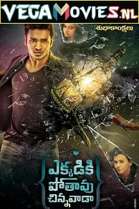Ekkadiki Pothavu Chinnavada 2016 Hindi Dubbed Full Movie WEB-DL 480p 720p 1080p