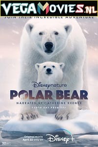 Polar Bear 2022 English With Subtitles 480p 720p 1080p