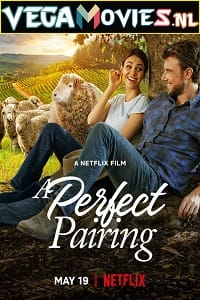 A Perfect Pairing 2022 Dual Audio Hindi-English 480p 720p 1080p