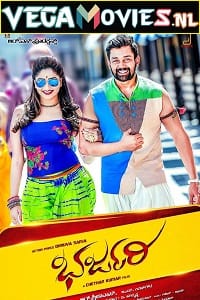 Bharjari 2017 Hindi Dubbed Full Movie WEB-DL 480p 720p 1080p