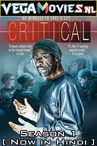 Critical 2015 Season 1 Complete Hindi Dubbed WEB Series 480p 720p WEB-DL
