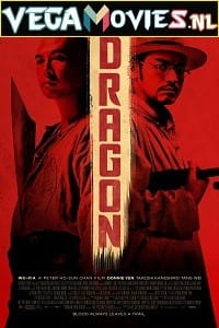 Dragon 2011 Dual Audio Hindi-English 480p 720p