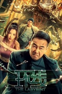 The Labyrinth 2022 WEB-DL Dual Audio Hindi ORG - Chinese 480p 720p 1080p