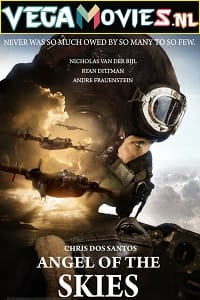 Angel of the Skies 2013 Dual Audio Hindi - English WeB-DL 480p 720p