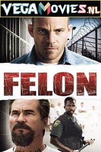 Felon 2008 Dual Audio Hindi - English WeB-DL 480p 720p 1080p