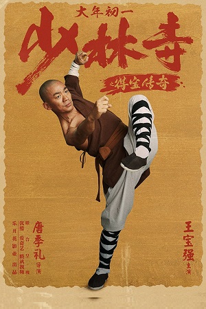 Rising Shaolin The Protector 2021 HDRip Dual Audio Hindi-Chinese 480p 720p