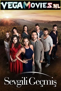 Sisterhood 2019 Season 1 S01E24 Added Dual Audio Hindi-Turkish Disney- Hotstar 720p HEVC WEB-DL