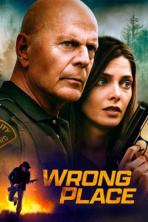 Wrong Place 2022 BluRay Dual Audio Hindi-English 480p 720p 1080p