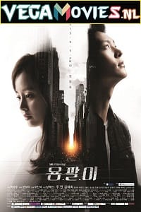 Yong Pal 2015 Season 1 Hindi Dubbed Complete Korean Series 720p HEVC WEB-DL
