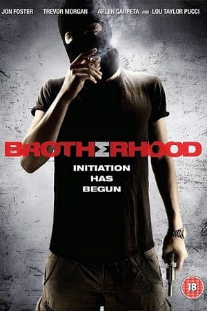 Brotherhood 2010 BluRay Dual Audio Hindi-English 480p 720p 1080p