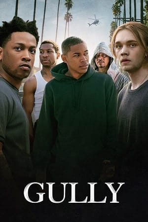 Gully 2019 Dual Audio Hindi - English WeB-DL 480p 720p 1080p