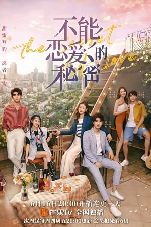 The Secret of Love 2021 Season 1 Hindi Dubbed Complete MX WEB Series 720p WEB-DL