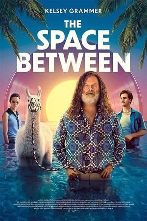 The Space Between 2017 Dual Audio Hindi-English 480p 720p 1080p