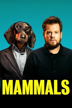 Mammals 2022 Season 1 Dual Audio Hindi-English Amazon Prime 480p 720p WEB-DL