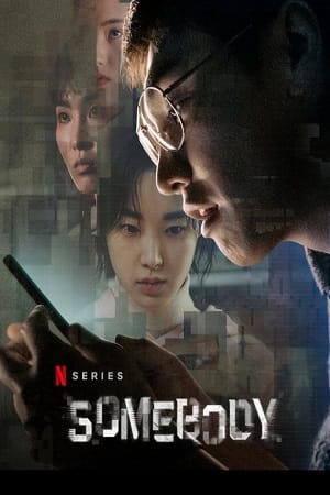 Somebody 2022 Season 1 Dual Audio Hindi-English 720p 1080p WEB-DL