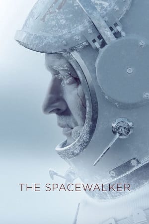 The Spacewalker 2017 Dual Audio Hindi - English WeB-DL 480p 720p 1080p