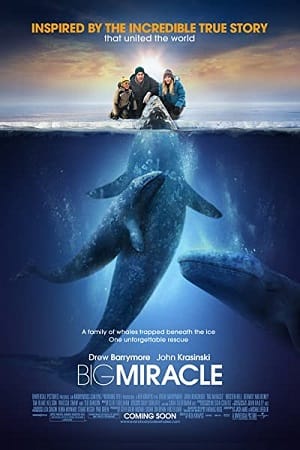 Big Miracle 2012 Dual Audio Hindi-English 480p 720p 1080p