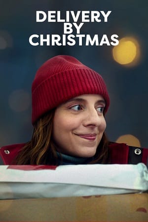 Delivery By Christmas 2022 WEB-DL Dual Audio Hindi-English 480p 720p 1080p