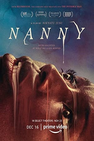 Nanny 2022 WEB-DL Dual Audio Hindi-English 480p 720p 1080p