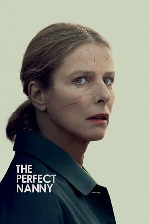 Perfect Nanny 2019 Dual Audio Hindi - French WeB-DL 480p 720p 1080p