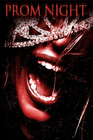 Prom Night 2008 BluRay Dual Audio Hindi-English 480p 720p 1080p