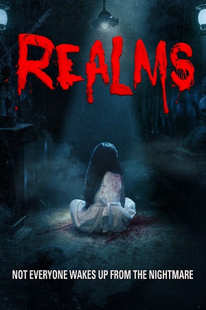 Netflix Realms 2017 Dual Audio Hindi-English 480p 720p 1080p