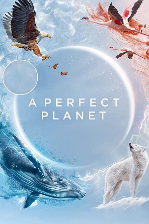 A perfect Planet Season 1 Dual Audio Hindi - English Complete Web Series Esubs 720p