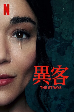 The Strays 2023 WEB-DL Dual Audio Hindi-English 480p 720p 1080p