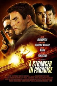 A Stranger in Paradise 2013 Dual Audio Hindi - English WeB-DL 480p 720p 1080p