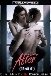 After 2019 BluRay Dual Audio Hindi Dubbed ORG - English 480p 720p 1080p
