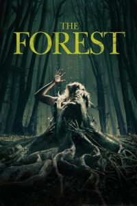 The Forest 2016 BluRay Dual Audio Hindi-English 480p 720p 1080p
